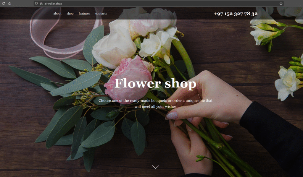 Airwallex Phishing Website at cloaked stage - disguised behind another website's landing page code.